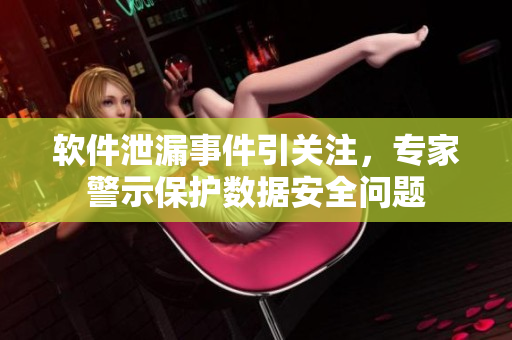 软件泄漏事件引关注，专家警示保护数据安全问题