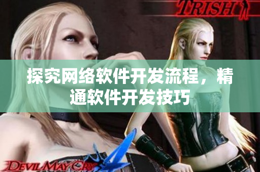 探究网络软件开发流程，精通软件开发技巧