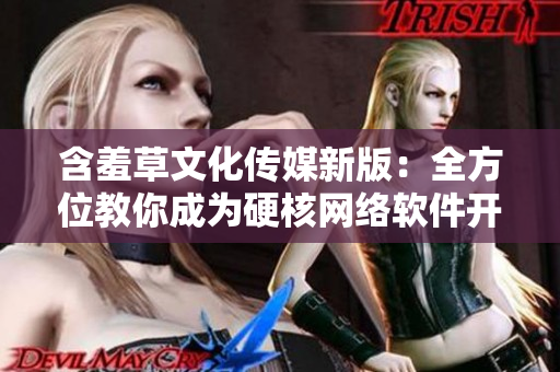 含羞草文化传媒新版：全方位教你成为硬核网络软件开发者