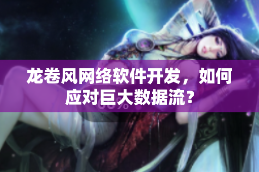 龙卷风网络软件开发，如何应对巨大数据流？