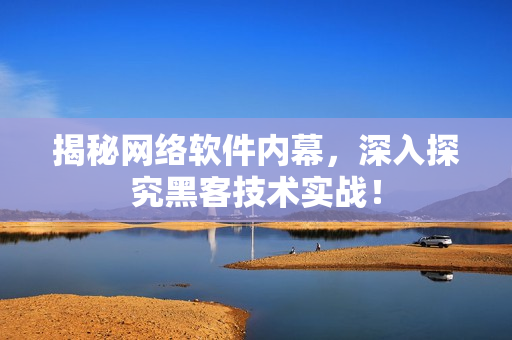 揭秘网络软件内幕，深入探究黑客技术实战！