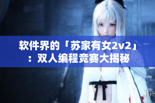 软件界的「苏家有女2v2」：双人编程竞赛大揭秘