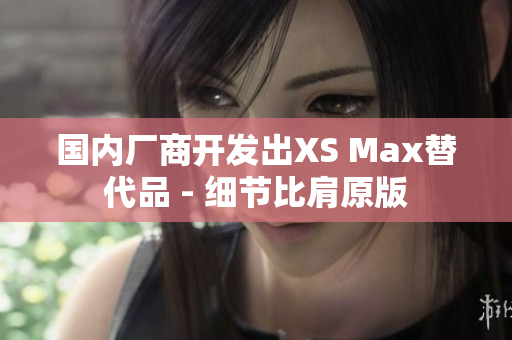 国内厂商开发出XS Max替代品 - 细节比肩原版