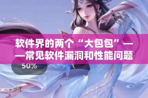软件界的两个“大包包”——常见软件漏洞和性能问题