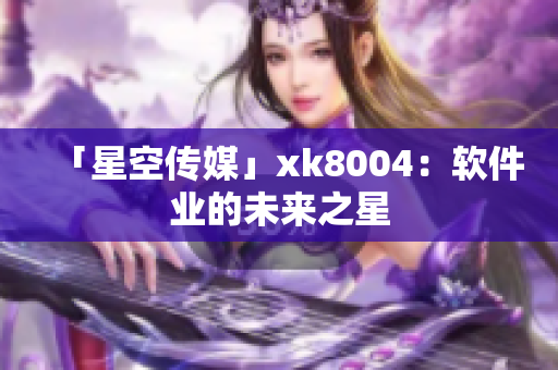 「星空传媒」xk8004：软件业的未来之星