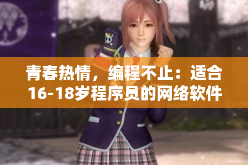 青春热情，编程不止：适合16-18岁程序员的网络软件开发指南