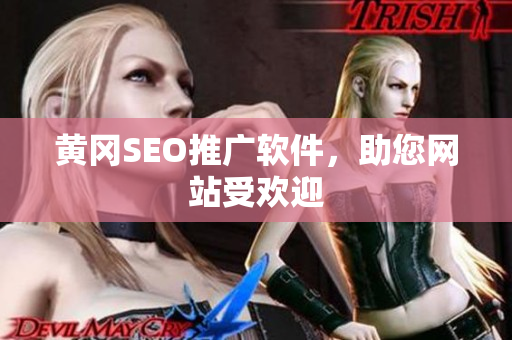 黄冈SEO推广软件，助您网站受欢迎