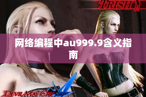 网络编程中au999.9含义指南