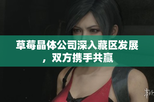 草莓晶体公司深入藏区发展，双方携手共赢