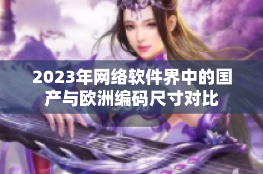 2023年网络软件界中的国产与欧洲编码尺寸对比