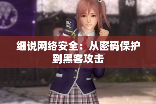 细说网络安全：从密码保护到黑客攻击