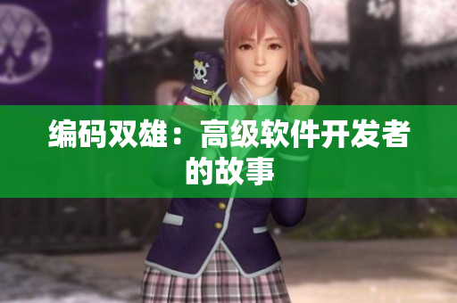 编码双雄：高级软件开发者的故事
