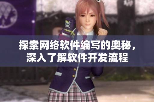 探索网络软件编写的奥秘，深入了解软件开发流程