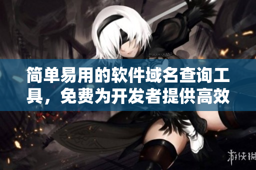 简单易用的软件域名查询工具，免费为开发者提供高效便捷的服务