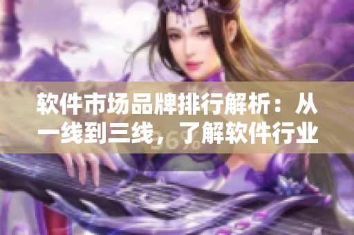 软件市场品牌排行解析：从一线到三线，了解软件行业品牌格局