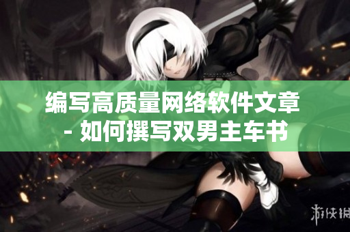 编写高质量网络软件文章 - 如何撰写双男主车书