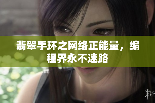 翡翠手环之网络正能量，编程界永不迷路