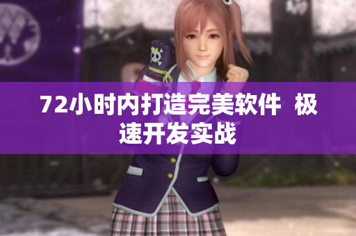 72小时内打造完美软件  极速开发实战