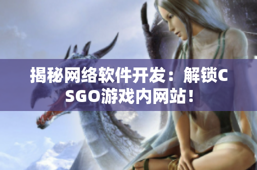 揭秘网络软件开发：解锁CSGO游戏内网站！