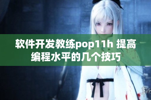 软件开发教练pop11h 提高编程水平的几个技巧