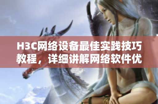 H3C网络设备最佳实践技巧教程，详细讲解网络软件优化技巧与应用。
