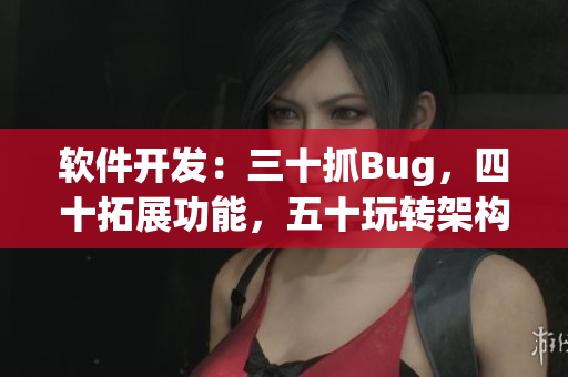 软件开发：三十抓Bug，四十拓展功能，五十玩转架构