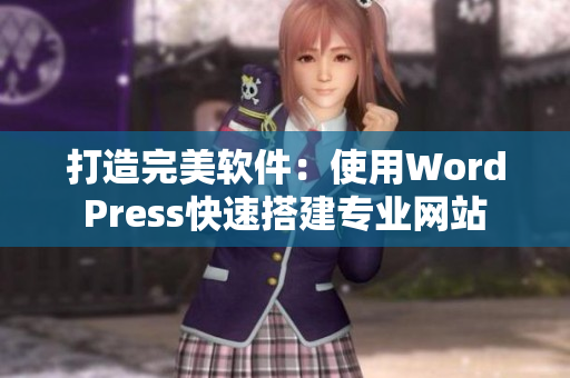 打造完美软件：使用WordPress快速搭建专业网站