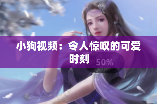 小狗视频：令人惊叹的可爱时刻