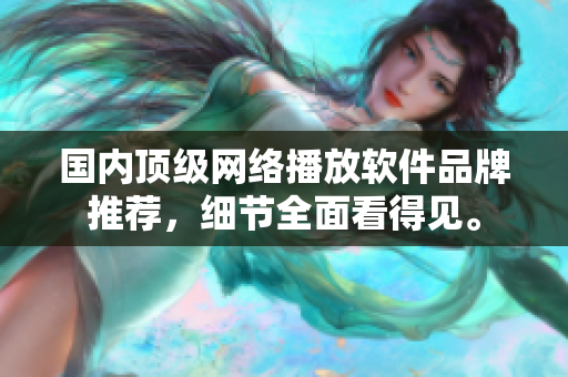 国内顶级网络播放软件品牌推荐，细节全面看得见。