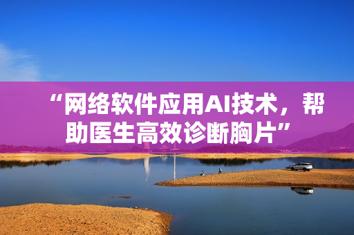 “网络软件应用AI技术，帮助医生高效诊断胸片”