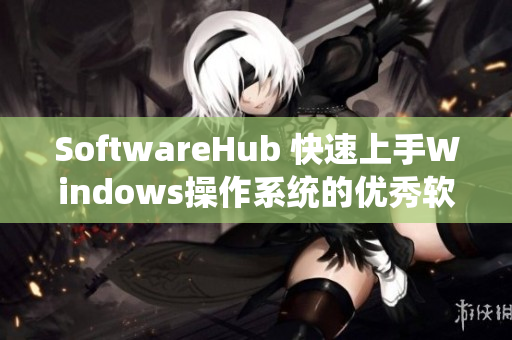 SoftwareHub 快速上手Windows操作系统的优秀软件推荐