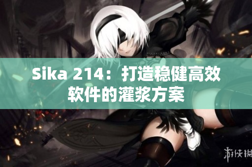 Sika 214：打造稳健高效软件的灌浆方案