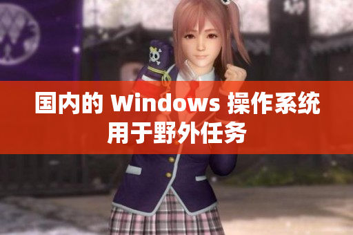 国内的 Windows 操作系统用于野外任务