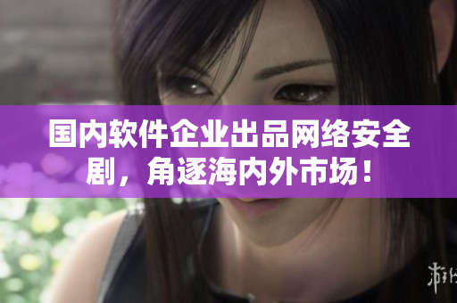 国内软件企业出品网络安全剧，角逐海内外市场！