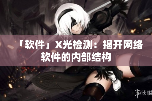 「软件」X光检测：揭开网络软件的内部结构