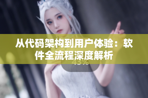 从代码架构到用户体验：软件全流程深度解析