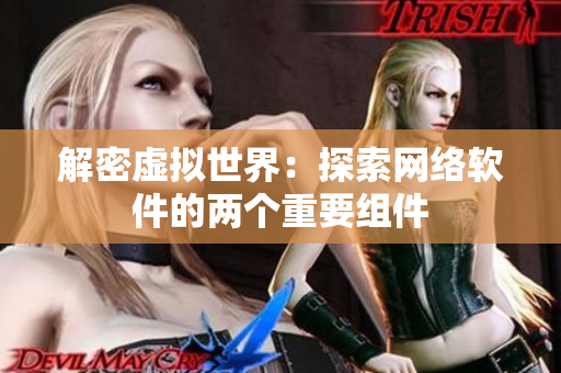 解密虚拟世界：探索网络软件的两个重要组件