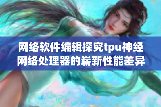 网络软件编辑探究tpu神经网络处理器的崭新性能差异