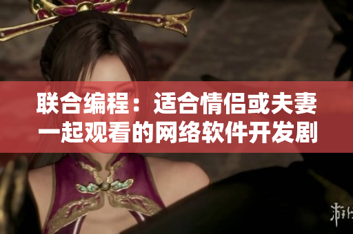 联合编程：适合情侣或夫妻一起观看的网络软件开发剧