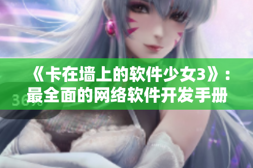 《卡在墙上的软件少女3》：最全面的网络软件开发手册