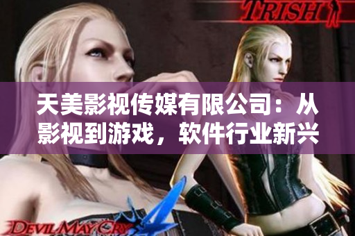 天美影视传媒有限公司：从影视到游戏，软件行业新兴力量