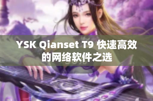 YSK Qianset T9 快速高效的网络软件之选