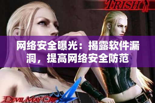 网络安全曝光：揭露软件漏洞，提高网络安全防范