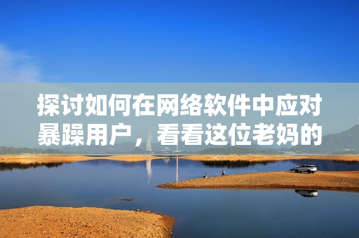 探讨如何在网络软件中应对暴躁用户，看看这位老妈的经验教训