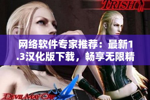 网络软件专家推荐：最新1.3汉化版下载，畅享无限精彩