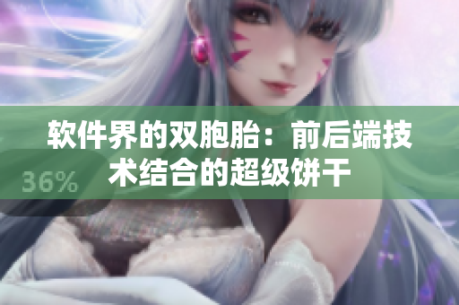 软件界的双胞胎：前后端技术结合的超级饼干