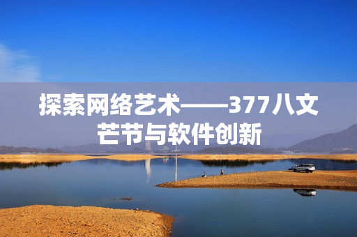 探索网络艺术——377八文芒节与软件创新