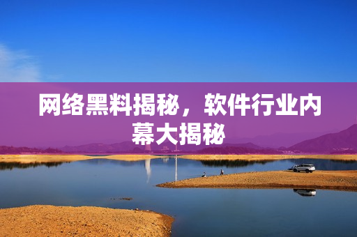 网络黑料揭秘，软件行业内幕大揭秘
