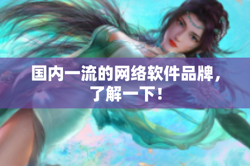 国内一流的网络软件品牌，了解一下！