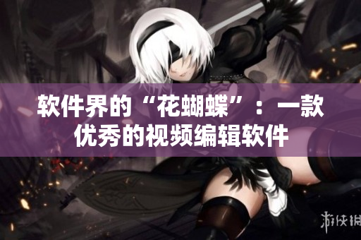 软件界的“花蝴蝶”：一款优秀的视频编辑软件
